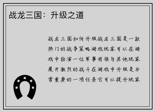 战龙三国：升级之道